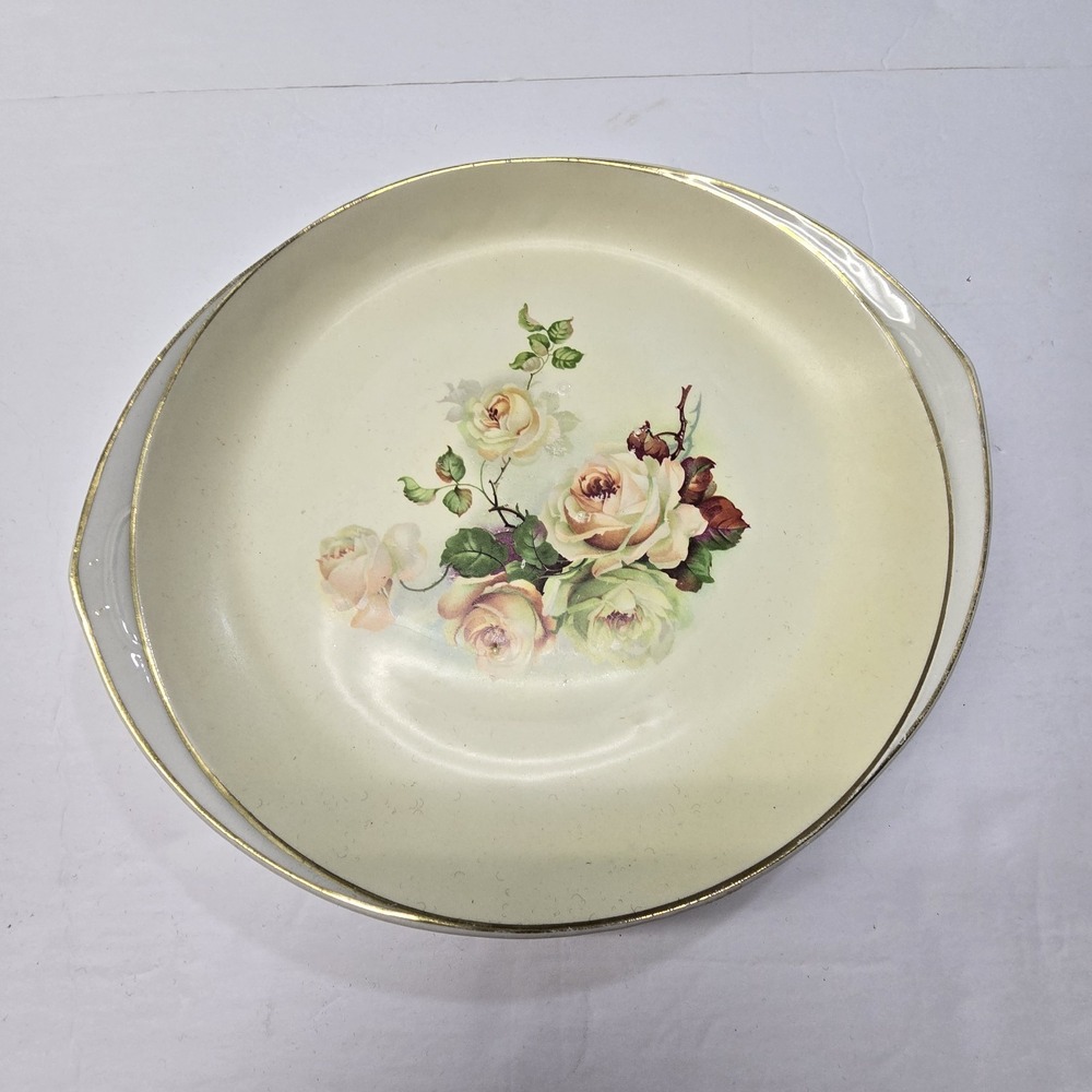 Vintage China Painted Rose Plate 10.5" Cottage Cottagecore Grandma Shabby